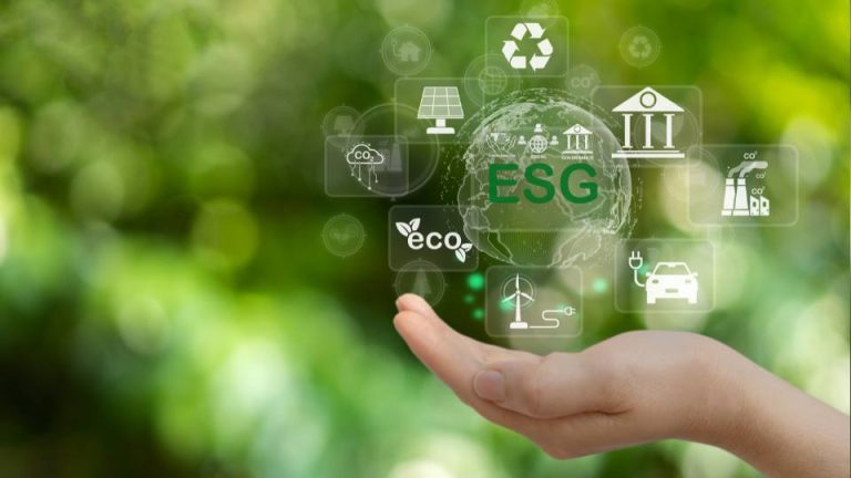 Pilote du Management RSE